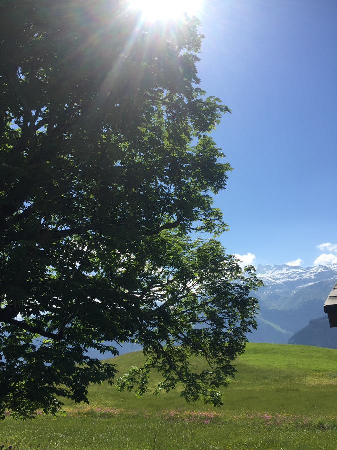 Hotel & Restaurant Stadthof Glarus Luaran gambar